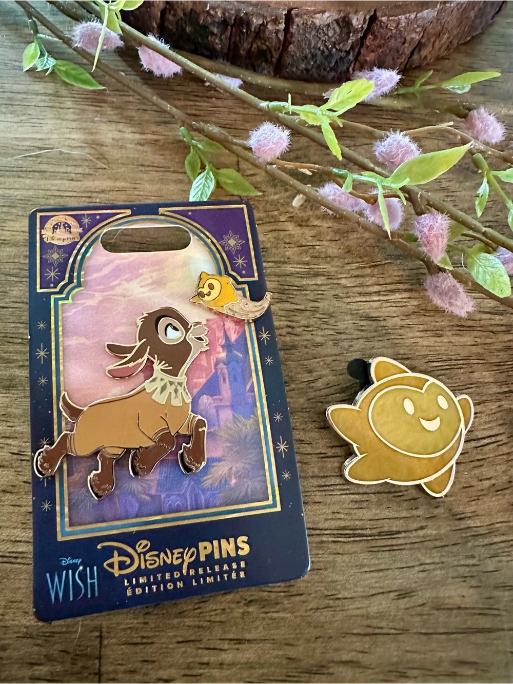 Disney Wish Pin Set (Lot of 2) 🐐⭐️